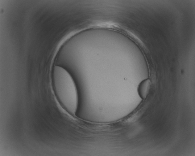 X0000081591471200701151013