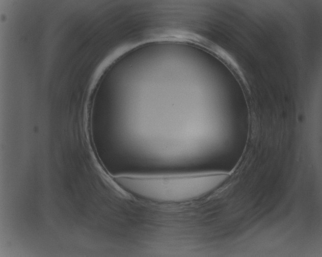 X0000081591480200701151013