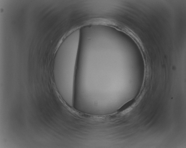 X0000081591481200701151013
