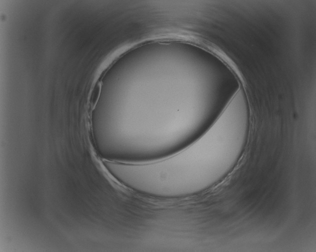 X0000081591485200701151013