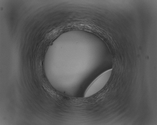 X0000081591489200701151012