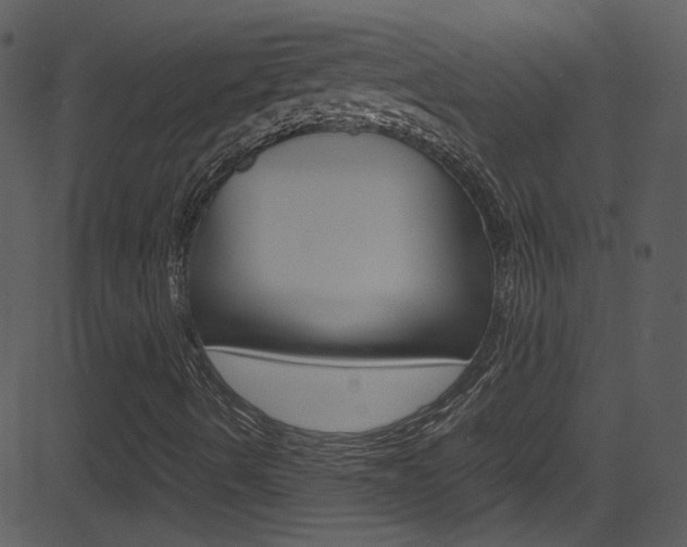 X0000081591490200701151012
