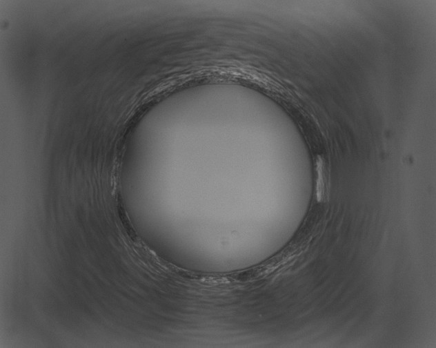 X0000081591491200701151012