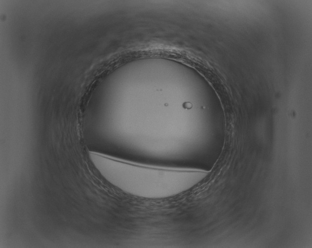 X0000081591493200701151012