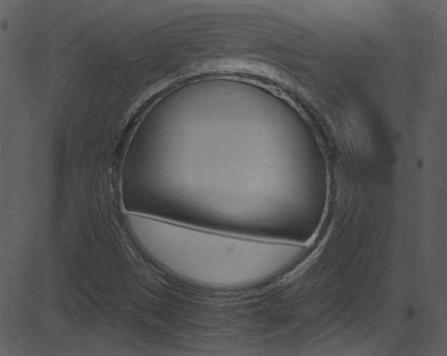 X0000081591497200701151012