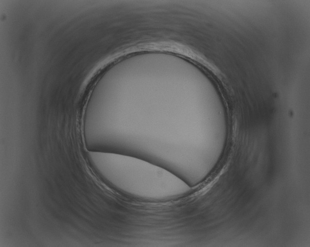 X0000081591498200701151012