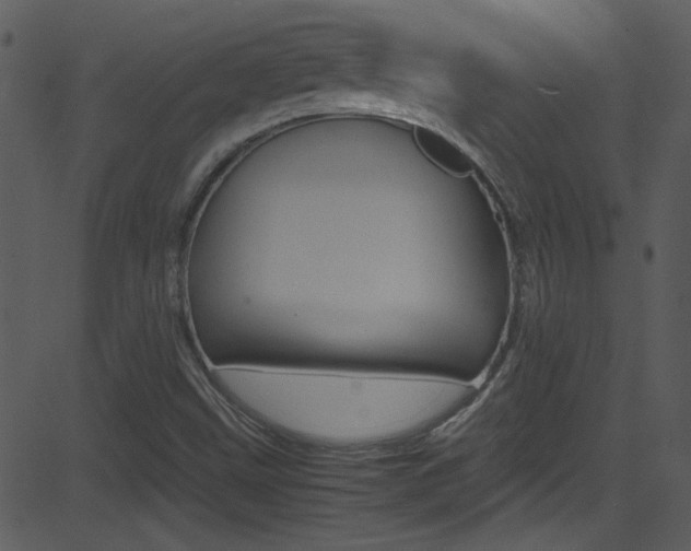 X0000081591499200701151013