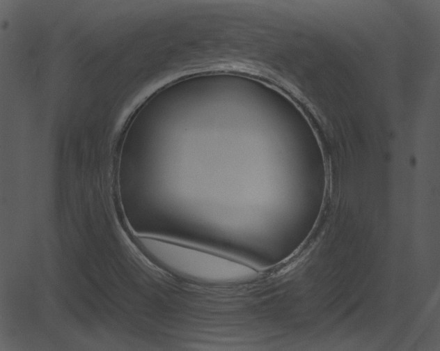 X0000081591500200701151013