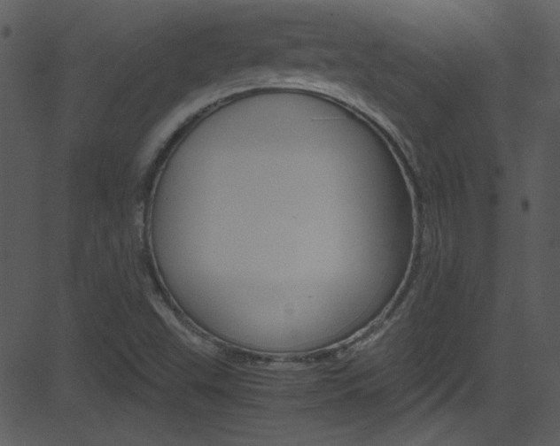 X0000081591503200701151013