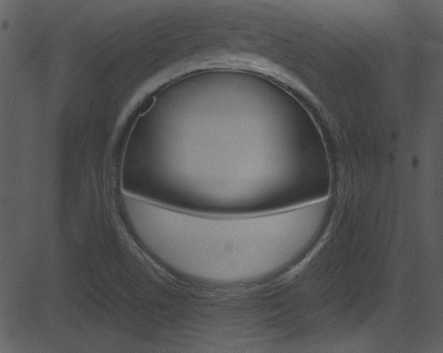 X0000081591506200701151013