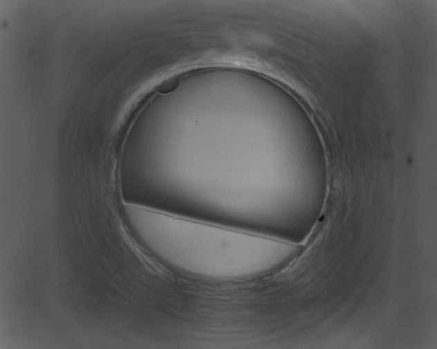 X0000081591507200701151013
