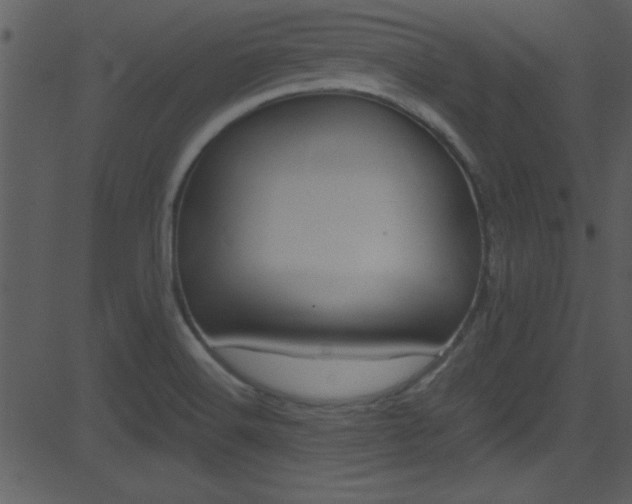 X0000081591516200701151013