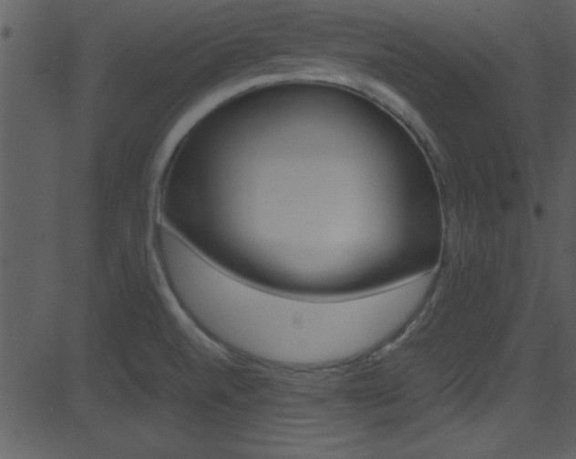 X0000081591520200701151013