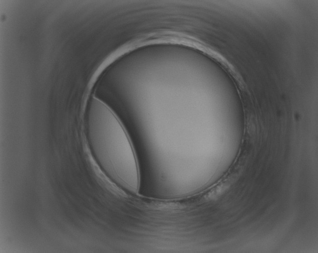 X0000081591522200701151013