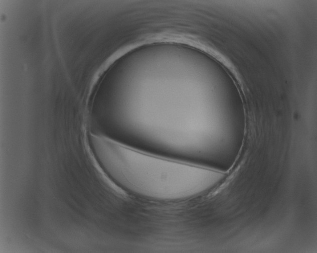 X0000081591525200701151013