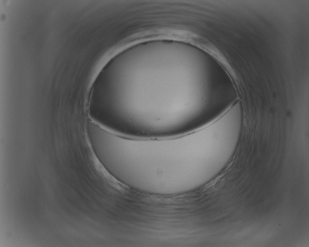 X0000081591532200701151013