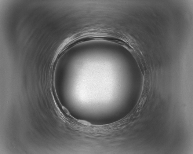 X0000081590003200701151321