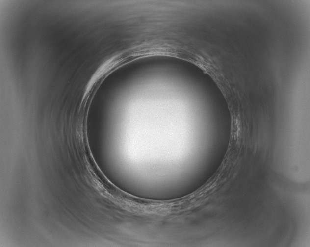 X0000081590004200701151321