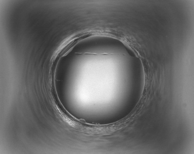 X0000081590005200701151321