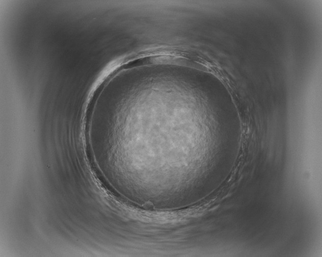 X0000081590006200701151321