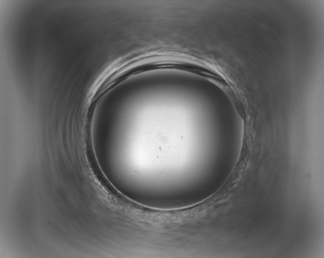 X0000081590007200701151321