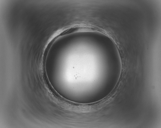 X0000081590008200701151321