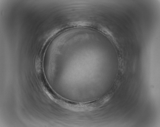 X0000081590012200701151321