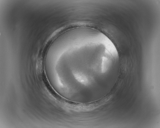 X0000081590016200701151321