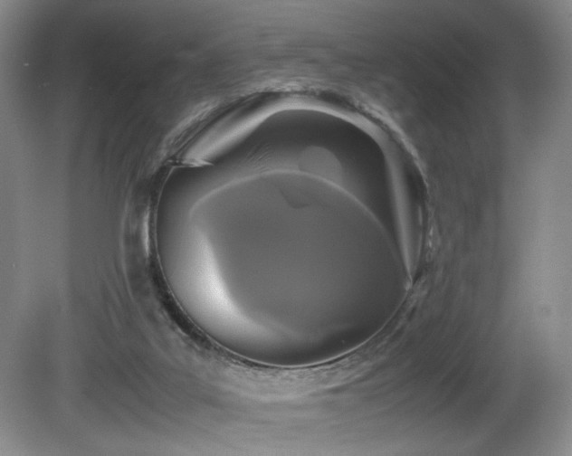 X0000081590019200701151321