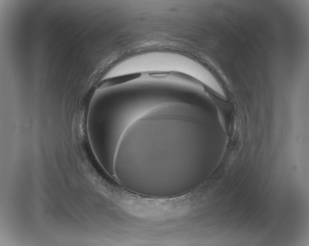X0000081590023200701151321
