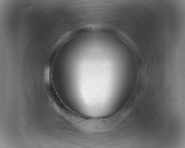 X0000081590024200701151321