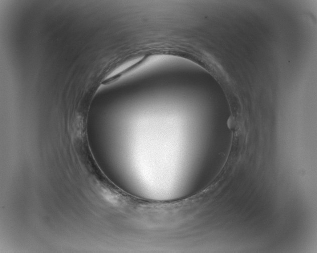 X0000081590025200701151321