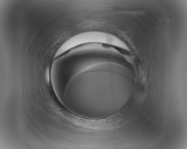 X0000081590027200701151321