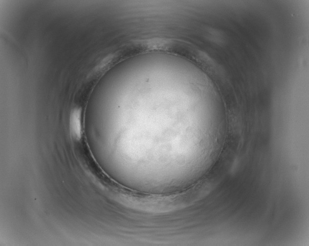 X0000081590028200701151321
