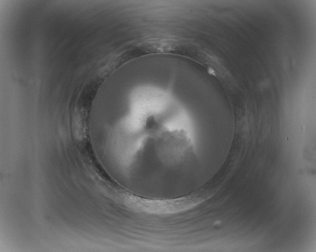 X0000081590030200701151321