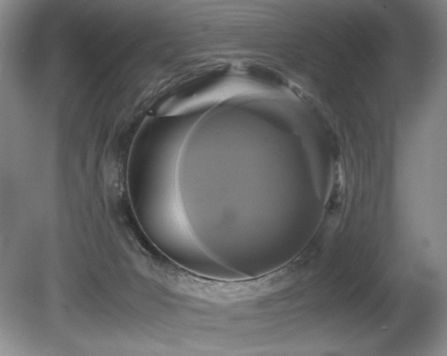 X0000081590031200701151321
