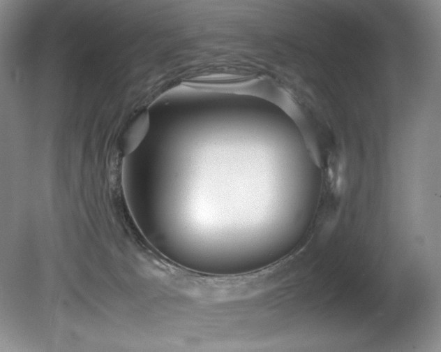 X0000081590033200701151321