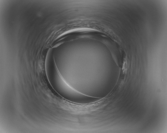 X0000081590035200701151321