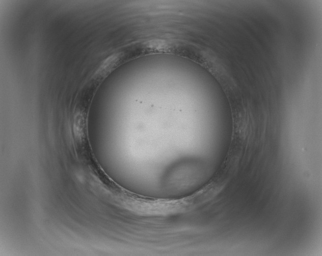X0000081590036200701151321