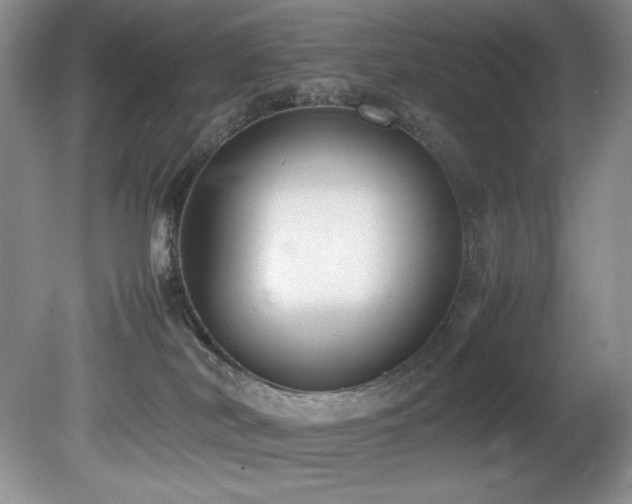 X0000081590038200701151321