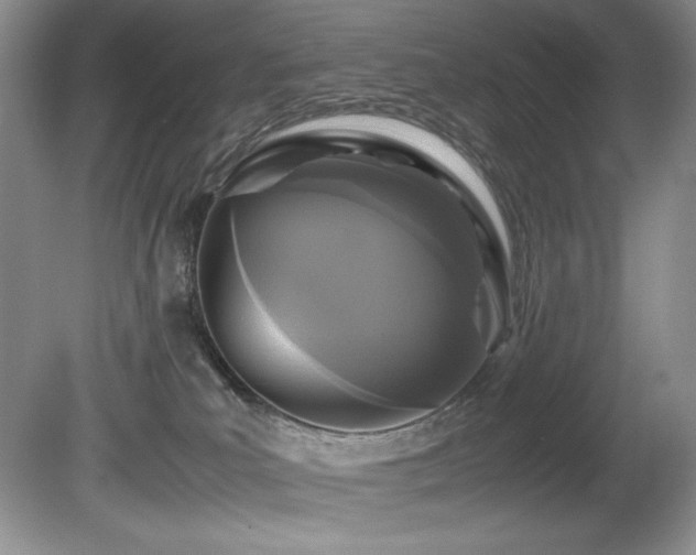 X0000081590039200701151321