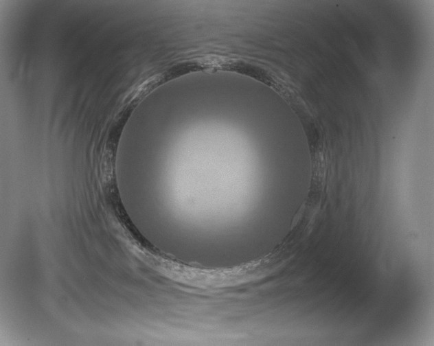 X0000081590043200701151321