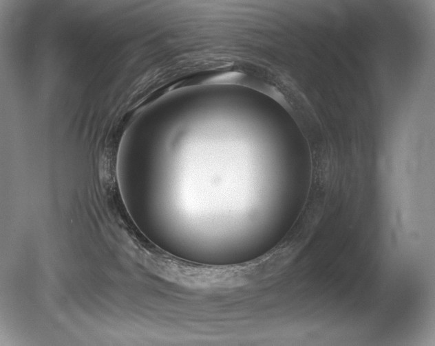 X0000081590044200701151320