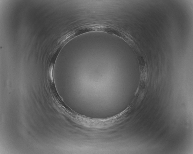 X0000081590047200701151320