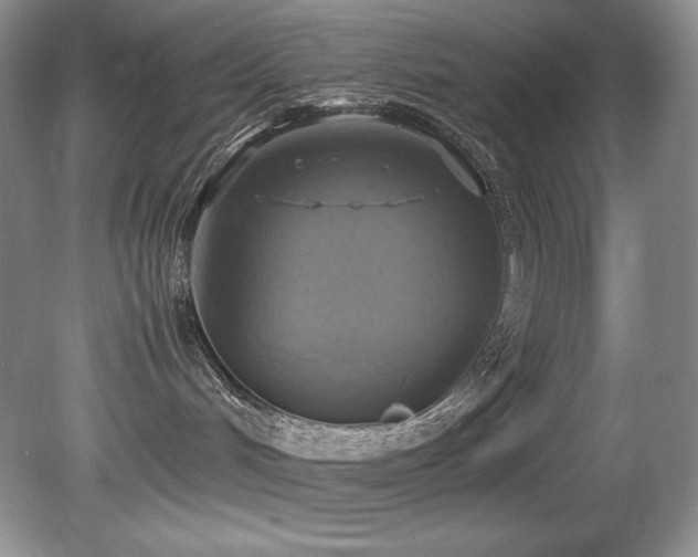 X0000081590048200701151320