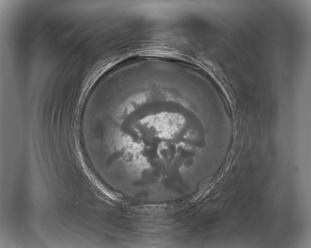 X0000081590049200701151320