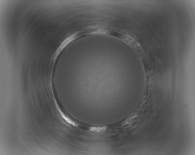 X0000081590051200701151320