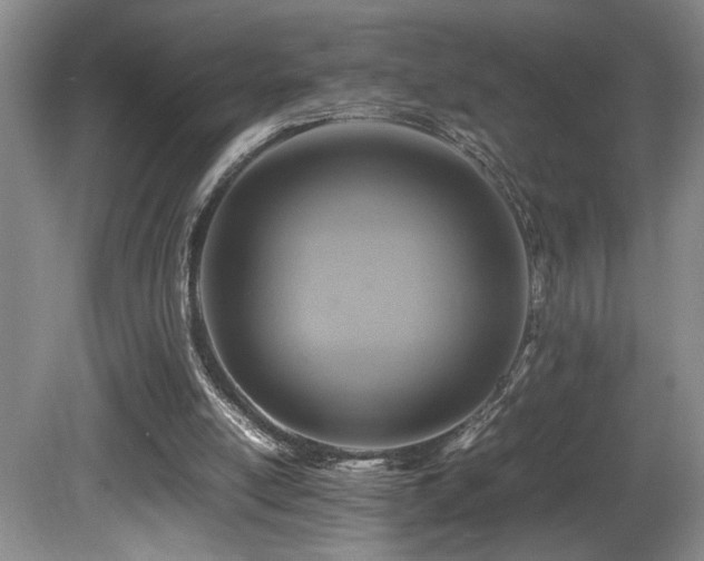 X0000081590054200701151320