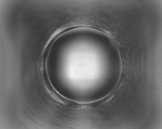 X0000081590056200701151320