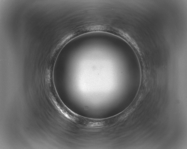 X0000081590057200701151320